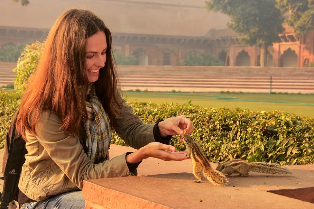 3-Day Golden Triangle Tour with 5 & 4 Star Hotel From Delhi